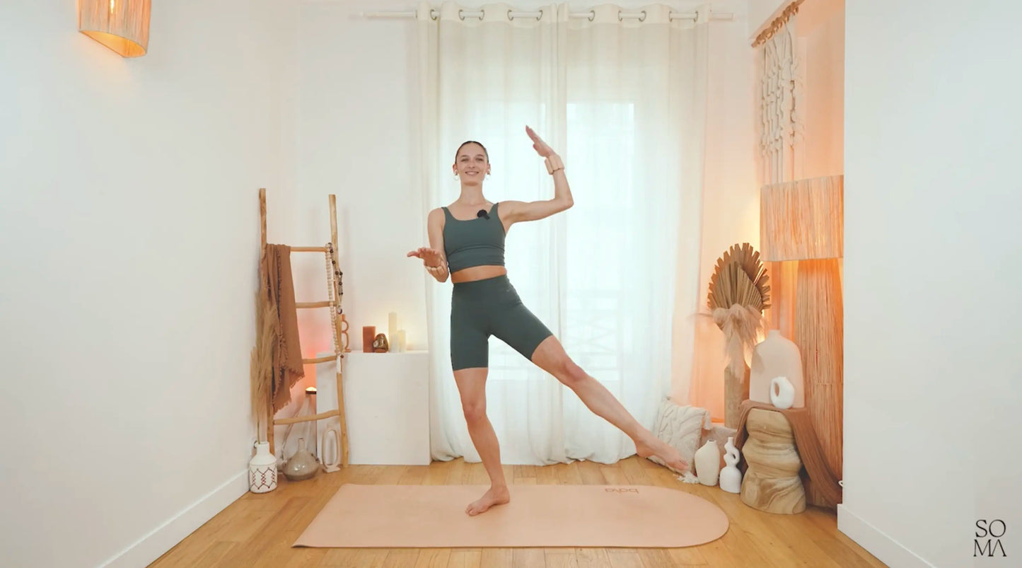 Barre on the go